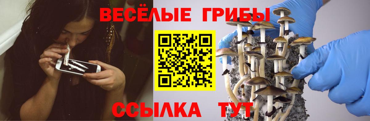 Галлюциногенные грибы Magic Shrooms  Вход с VPN  Кстово 